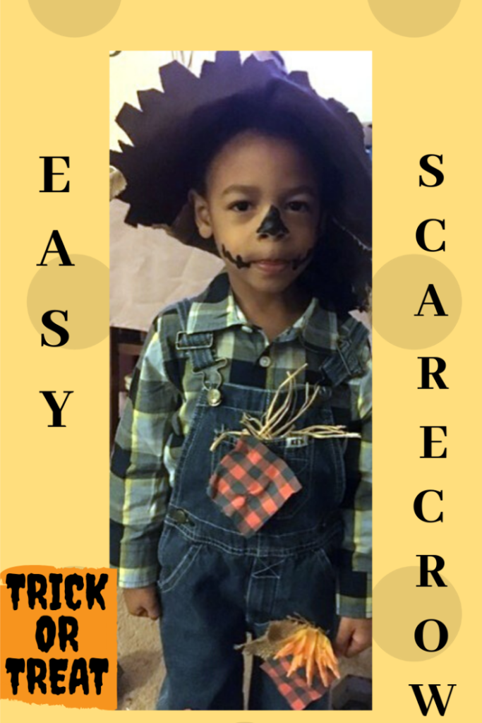 The easiest scarecrow costume you'll make. Only a few materials you already have at home will be needed. 